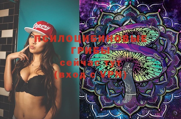 ПСИЛОЦИБИНОВЫЕ ГРИБЫ Слюдянка